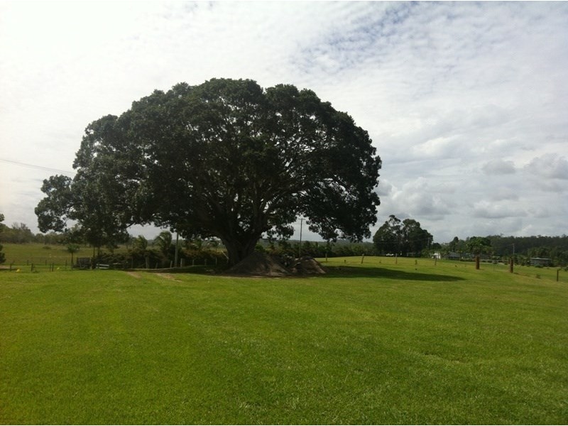 140 Ski Lodge Road, South Grafton NSW 2460