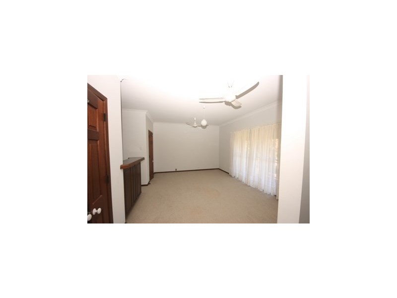 21 Cambridge Street, Copmanhurst NSW 2460