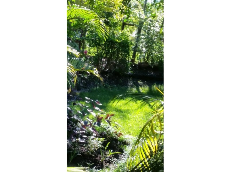 161 Eatonsville Road, Waterview Heights NSW 2460