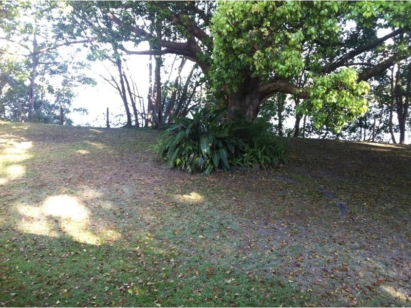 805 South Arm School Road, Brushgrove NSW 2460