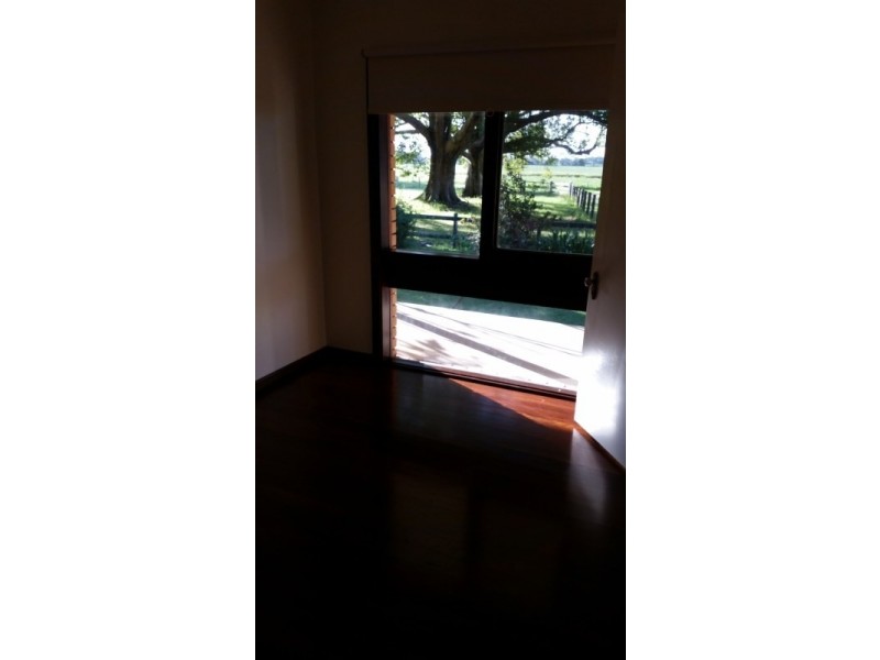 805 South Arm School Road, Brushgrove NSW 2460