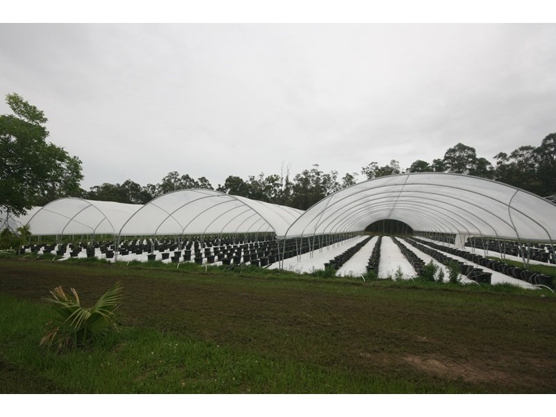 370 Orara Road, Lanitza NSW 2460