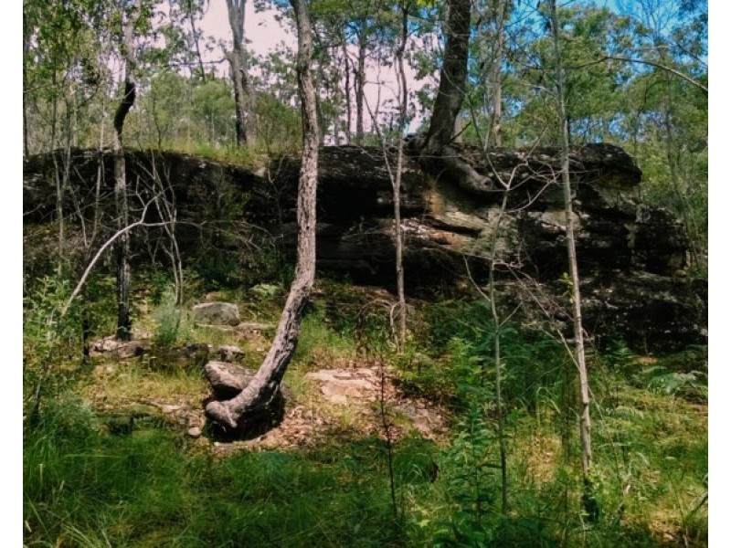 Lot 3-369 Fortis Creek Road, Fortis Creek NSW 2460