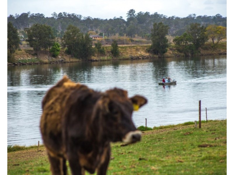 10 Mark Close, Grafton NSW 2460