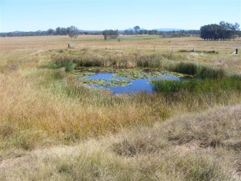 Lot 222 Burragan Road, Coutts Crossing NSW 2460