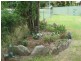 231 Fry Street, Grafton NSW 2460
