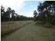 2558 Clarence Way, Upper Copmanhurst NSW 2460
