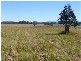 Lot On Burragan Road, Coutts Crossing NSW 2460
