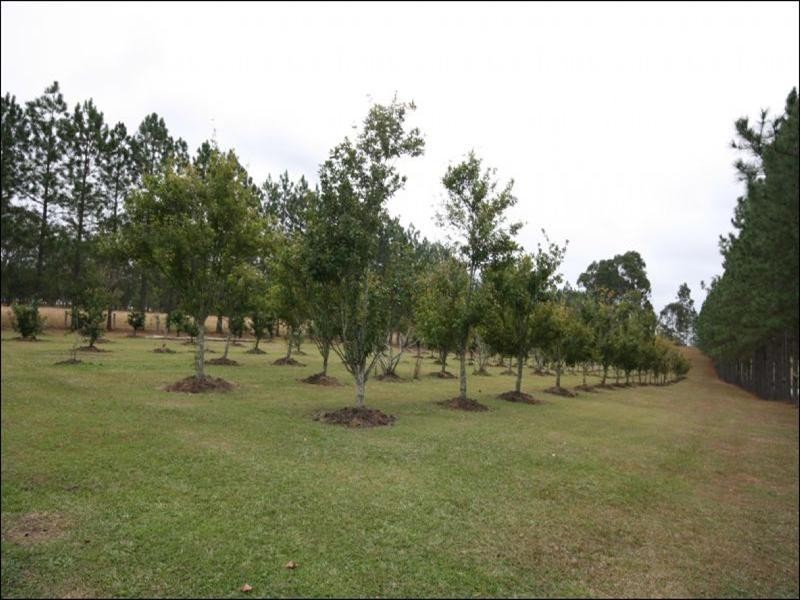 374 Braunstone Road, Braunstone NSW 2460