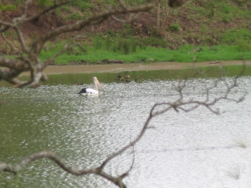 690 Lawrence Road, Southgate NSW 2460