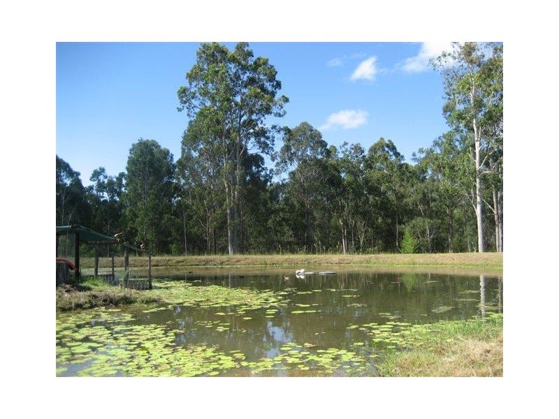 122 Four Mile Lane, Clarenza NSW 2460