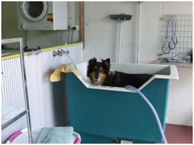 45 Queen Street, Grafton NSW 2460