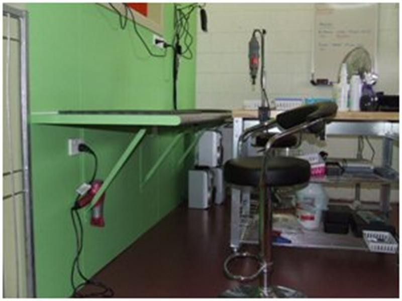 45 Queen Street, Grafton NSW 2460