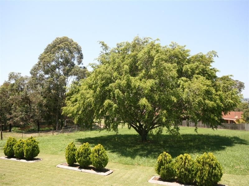 2 Figtree Avenue, Junction Hill NSW 2460