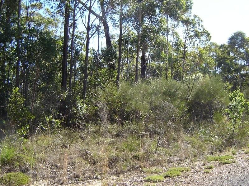 L334 Fortis Drive, The Pinnacles NSW 2460