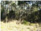 L334 Fortis Drive, The Pinnacles NSW 2460
