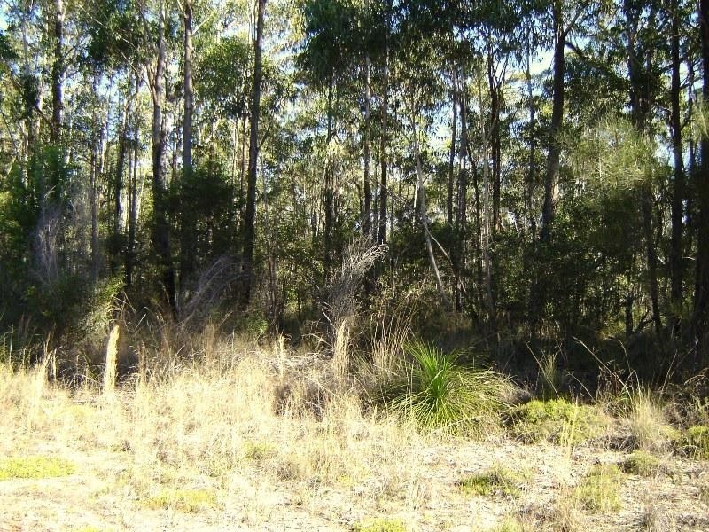 L334 Fortis Drive, The Pinnacles NSW 2460