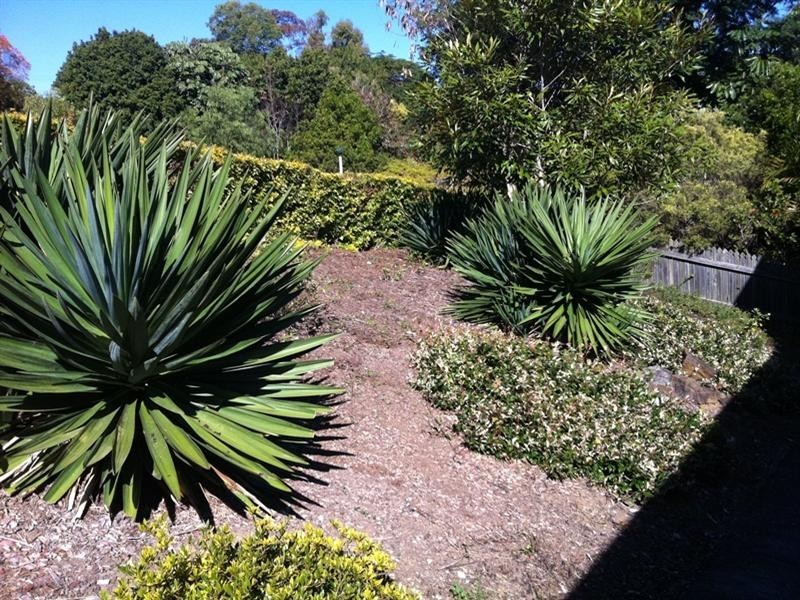 35 Moorehead Drive, South Grafton NSW 2460