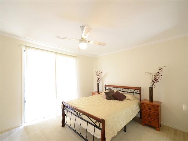 164 Clarence Way, Mountain View NSW 2460