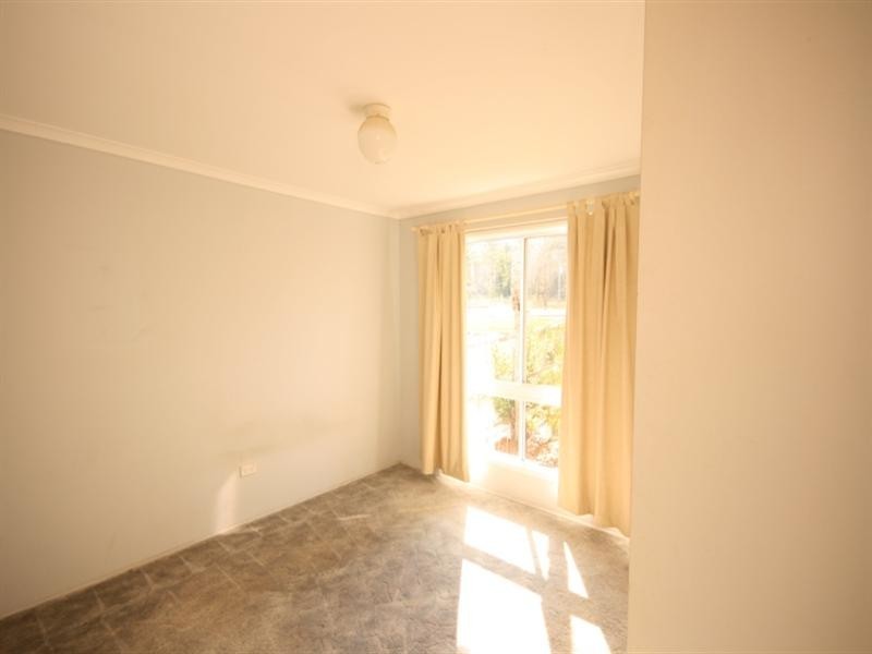 41 Sussex Street, Copmanhurst NSW 2460