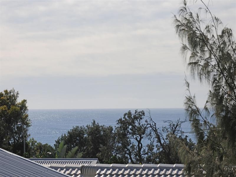 29 Grevillia Parade, Minnie Water NSW 2462