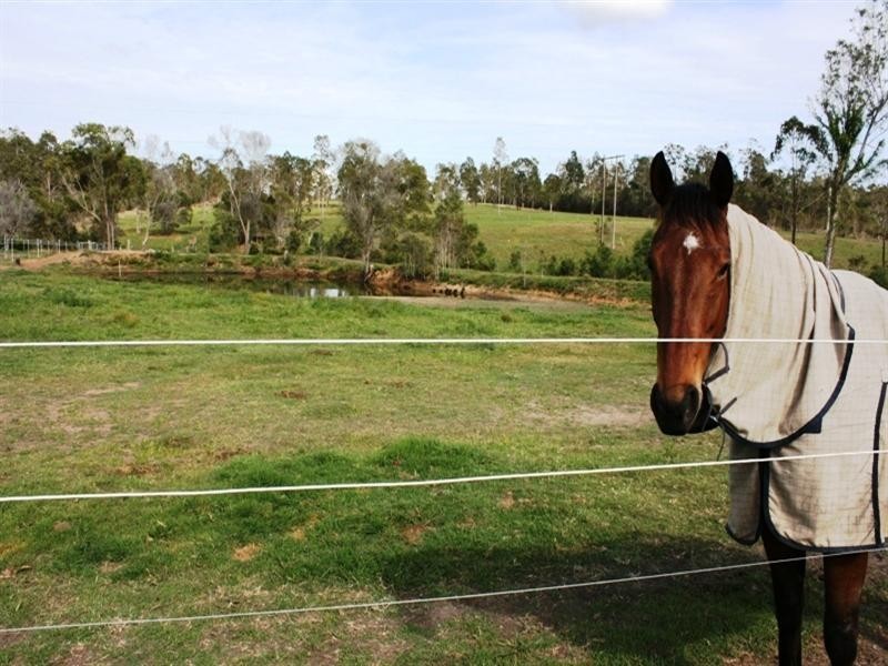 2463 Summerland Way, Dilkoon NSW 2460