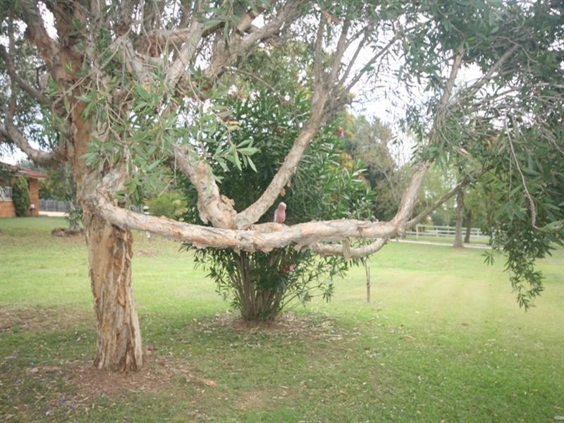 Lot 2662 Carrs Peninsula Road, Junction Hill NSW 2460