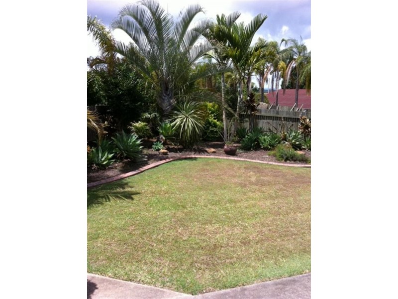 6 Figtree Avenue, Junction Hill NSW 2460