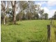 Lot 23/639 Lower Kangaroo Creek Road, Kangaroo Creek NSW 2460