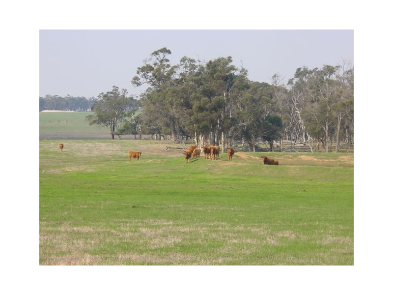 Mount Barker WA 6324