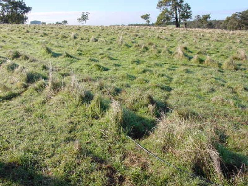 Mount Barker WA 6324