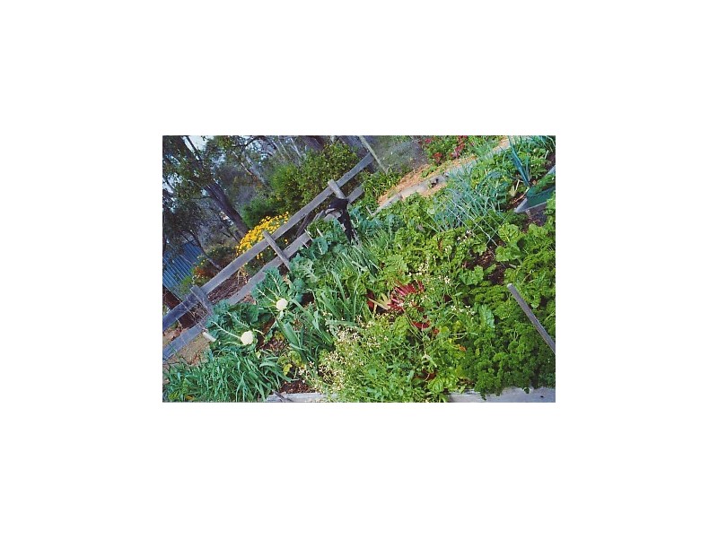 Mount Barker WA 6324