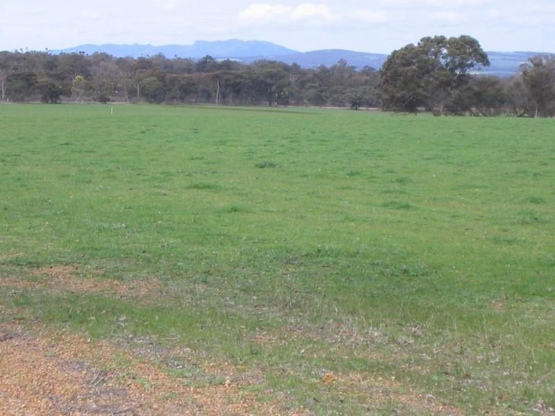 Loc 27 Carbarup Road, Kendenup WA 6323