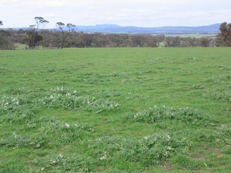 Loc 27 Carbarup Road, Kendenup WA 6323