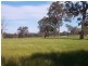 Mount Barker WA 6324