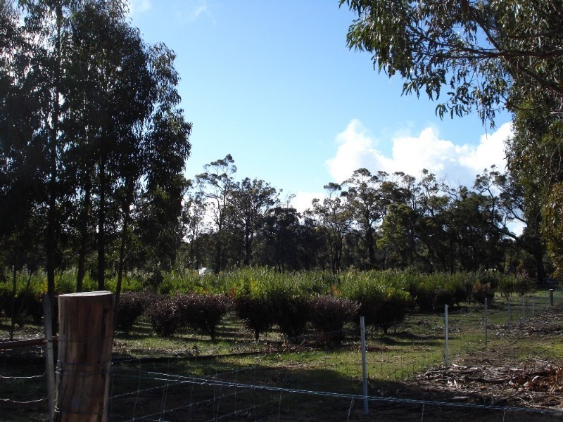 Mount Barker WA 6324