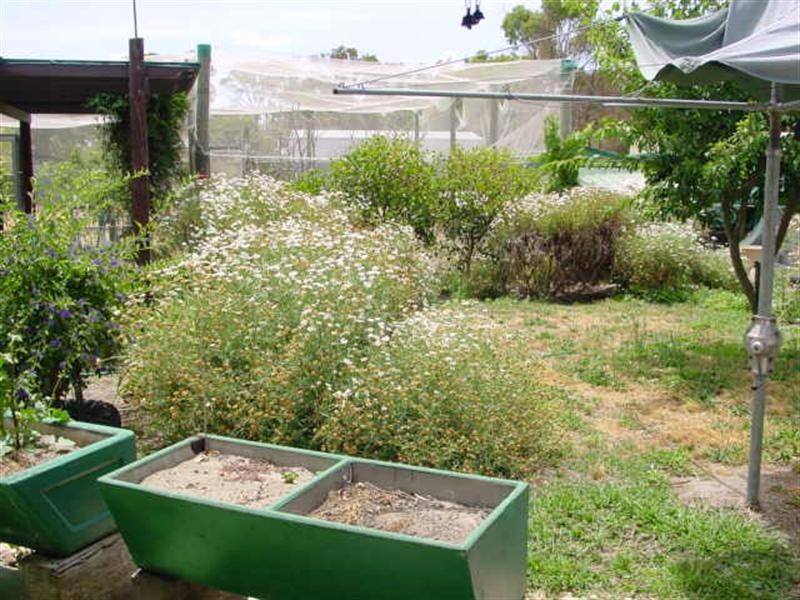 4 Hardy Street, Cranbrook WA 6321