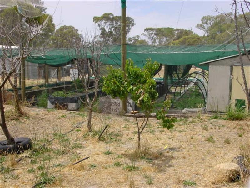 4 Hardy Street, Cranbrook WA 6321