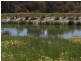 LOT 503 Marmion Street, Mount Barker WA 6324