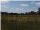 LOT 503 Marmion Street, Mount Barker WA 6324