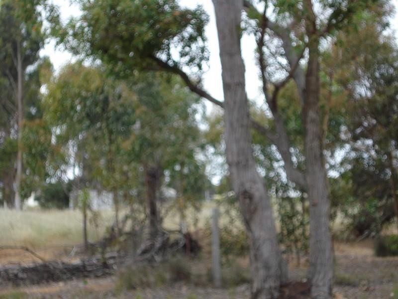 Lot 563 Fifth Avenue, Kendenup WA 6323