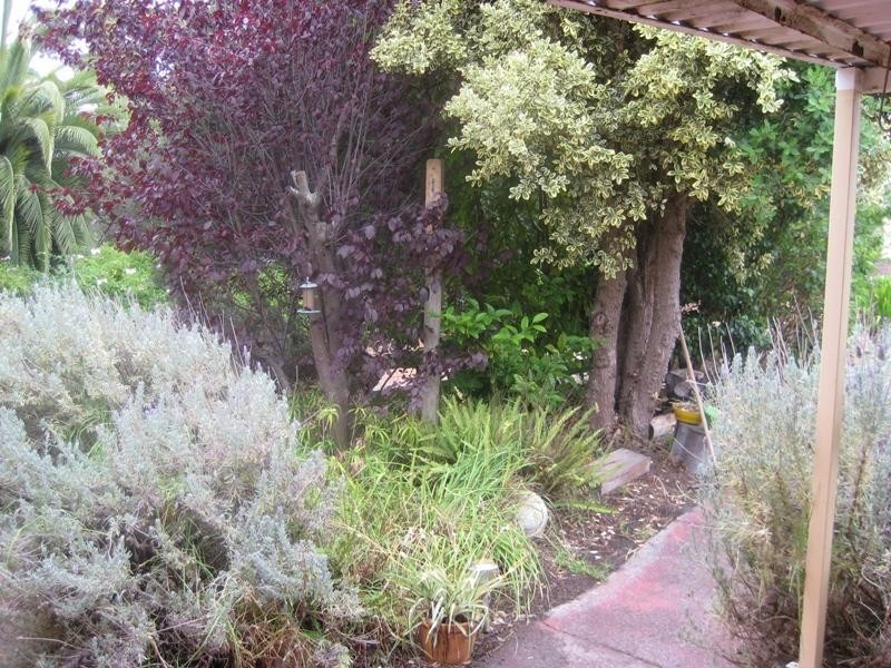 Mount Barker WA 6324