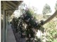 Mount Barker WA 6324