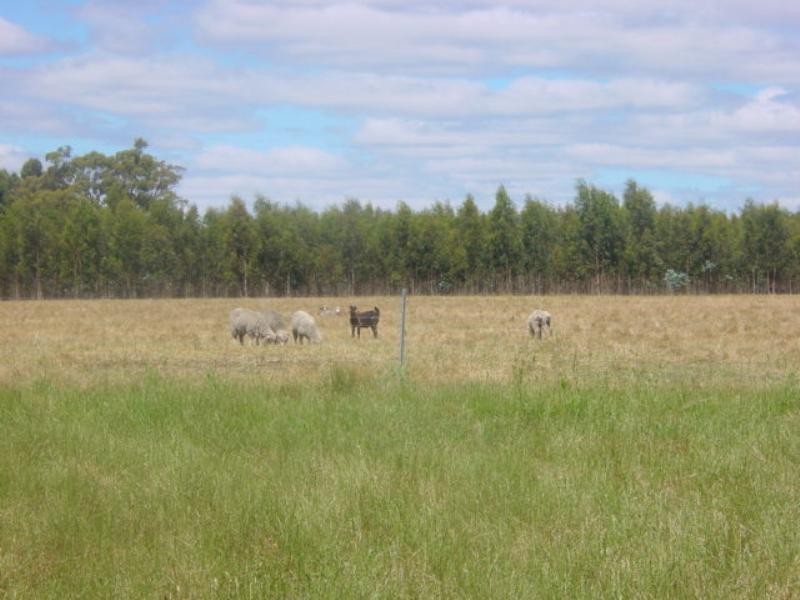 Mount Barker WA 6324