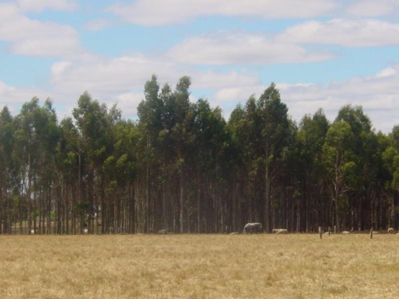 Mount Barker WA 6324