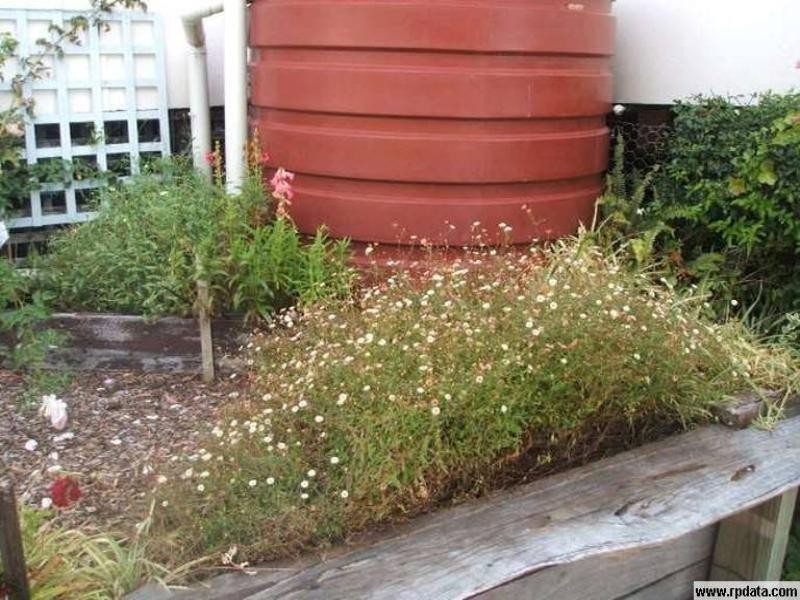 Mount Barker WA 6324