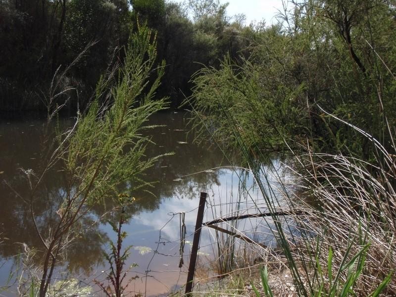 LOT 503 Marmion Street, Mount Barker WA 6324