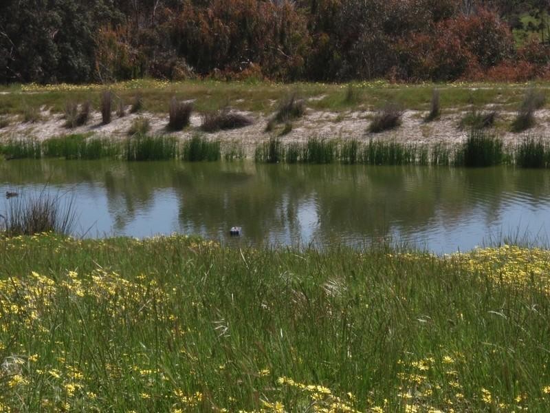 LOT 503 Marmion Street, Mount Barker WA 6324