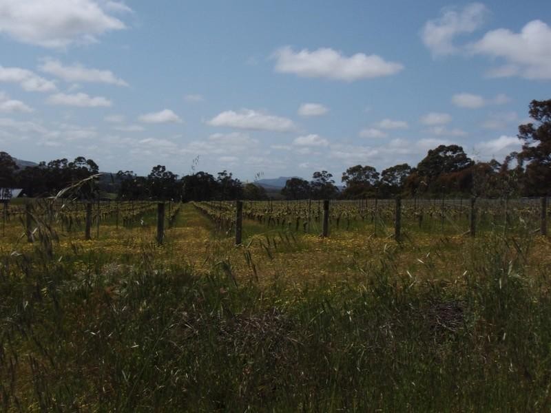 LOT 503 Marmion Street, Mount Barker WA 6324