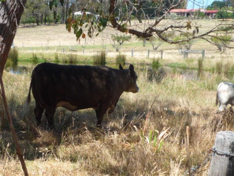 Mount Barker WA 6324